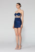 Heart Neck Transparent Bustier Mini Dress